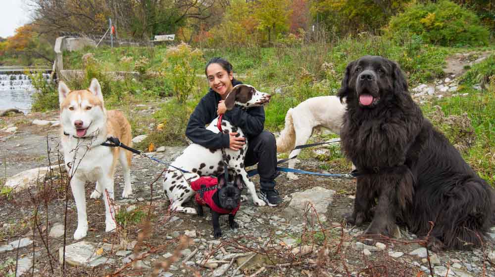 DeAnimalia - 10 Maneras de Ganar Dinero con Animales