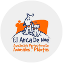EL ARCA DE NOÉ
