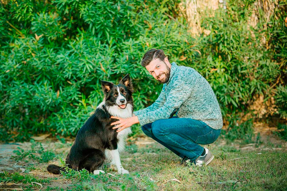 Beneficios del adiestramiento canino