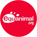 Equanimal