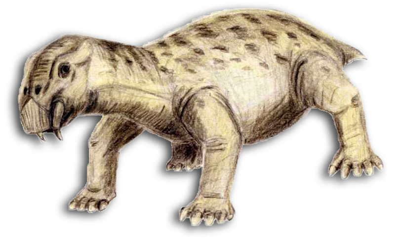 Extinción
