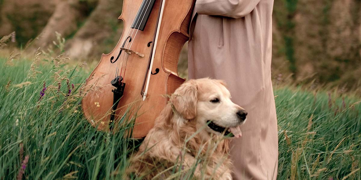 La Música Clásica Ayuda a Calmar a los Perros