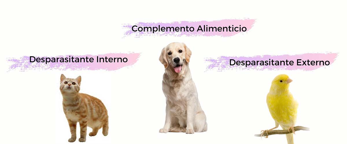 Mulfifuncionalidad de la Tierra de Diatomeas