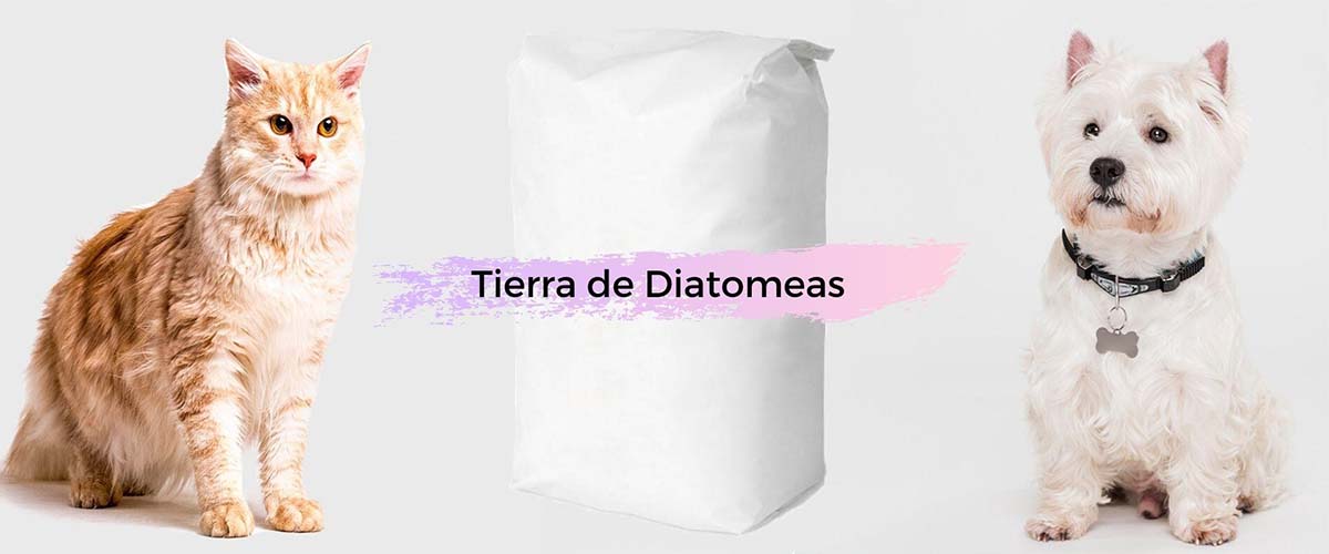 3 beneficios de la Tierra de Diatomeas para tu mascota