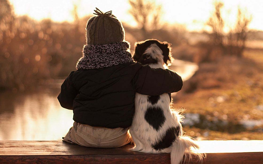 El Perro: Ciclo Vital, Necesidades Básicas y Necesidades Afectivas